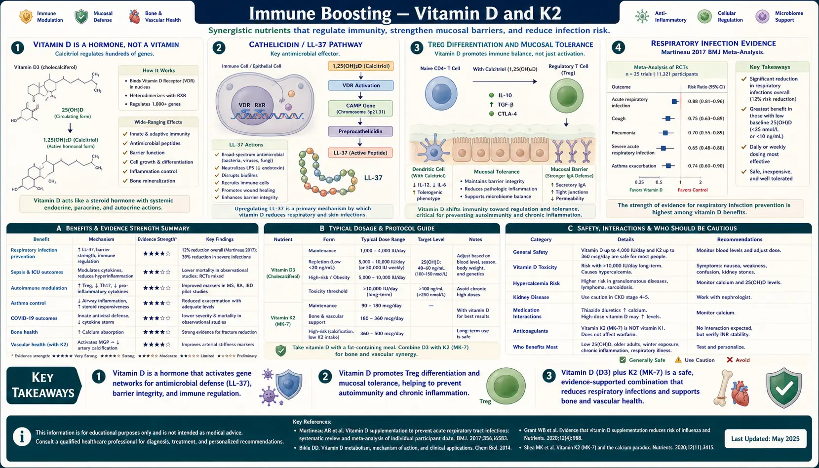 Vitamin D and K2 — scientific infographic poster