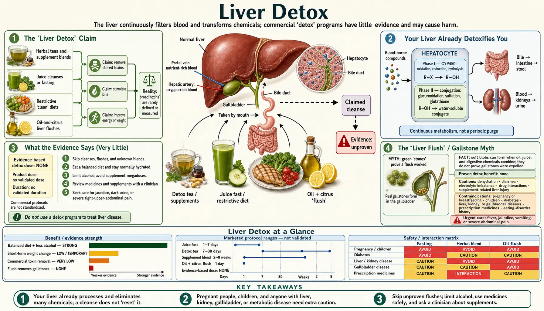 Liver Detox — scientific infographic poster