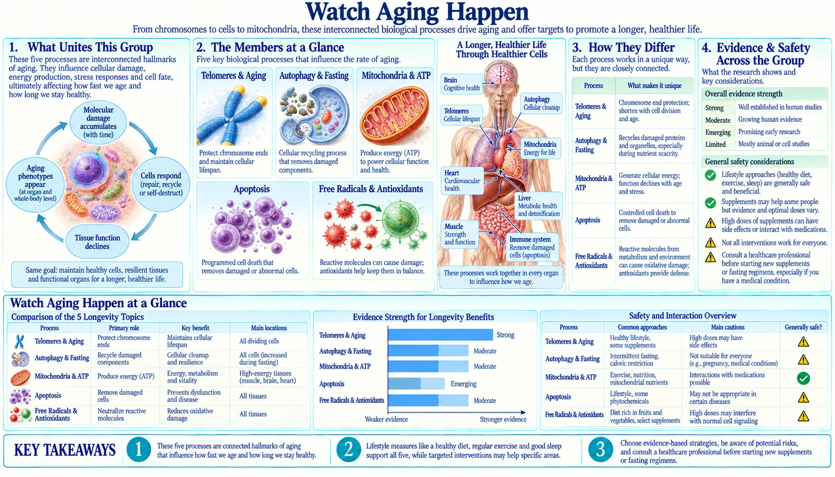 Animations — scientific infographic poster