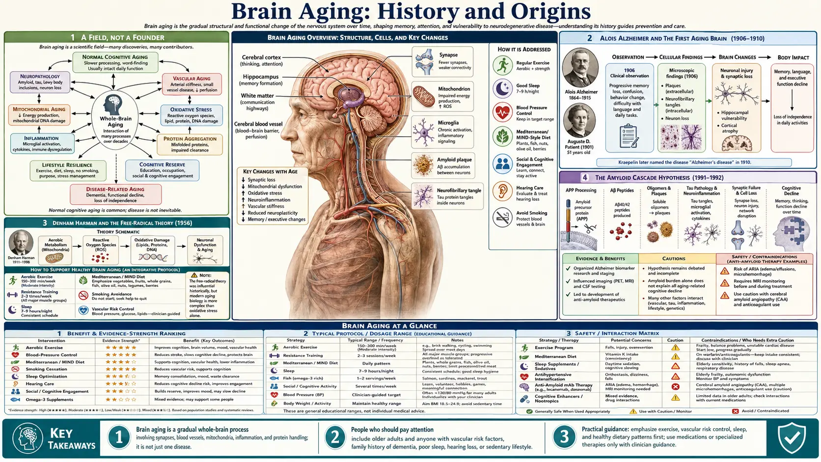 History — scientific infographic poster