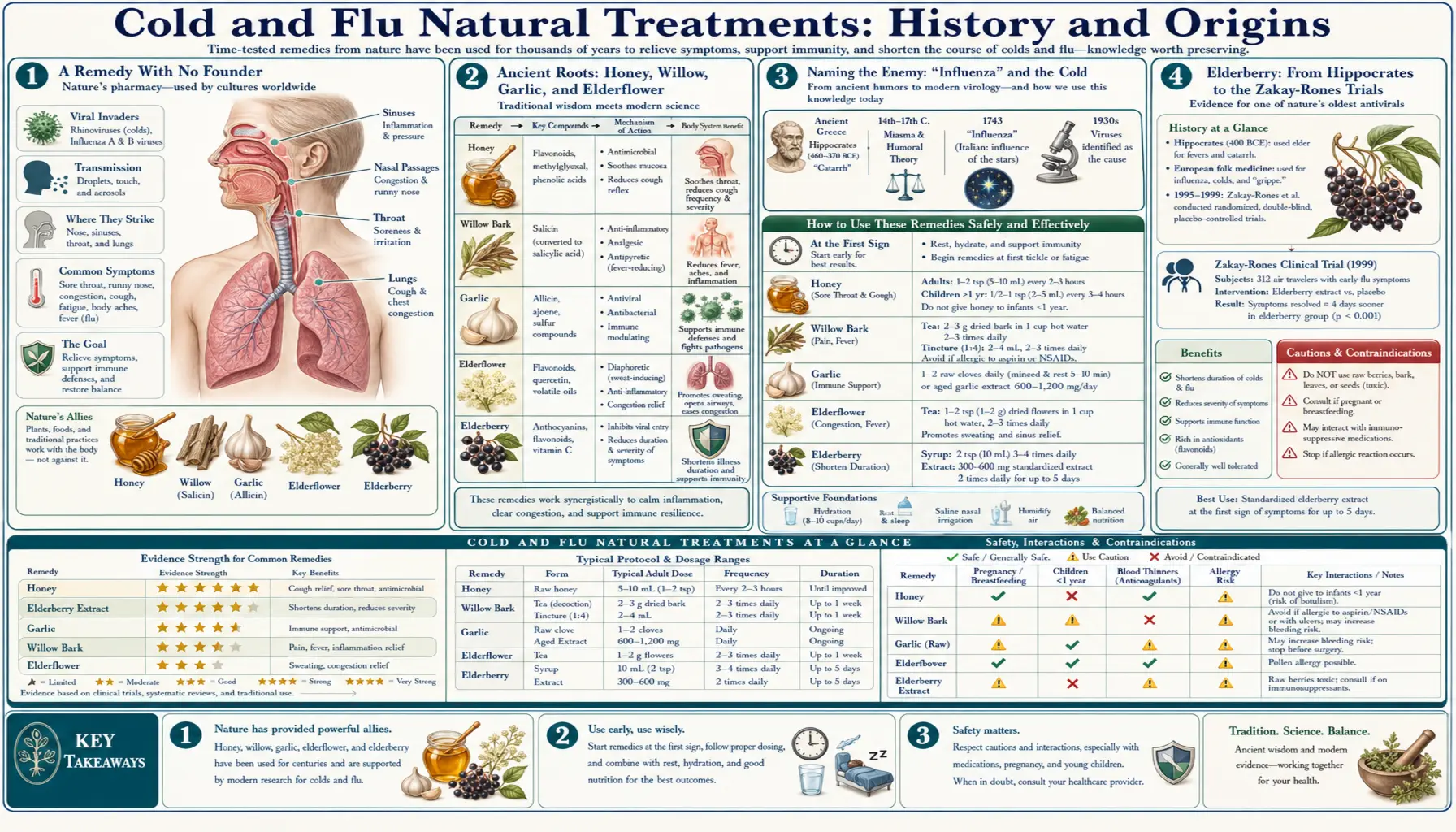 History — scientific infographic poster