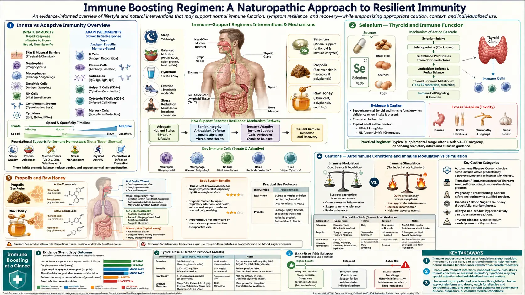 Immune Boosting — scientific infographic poster