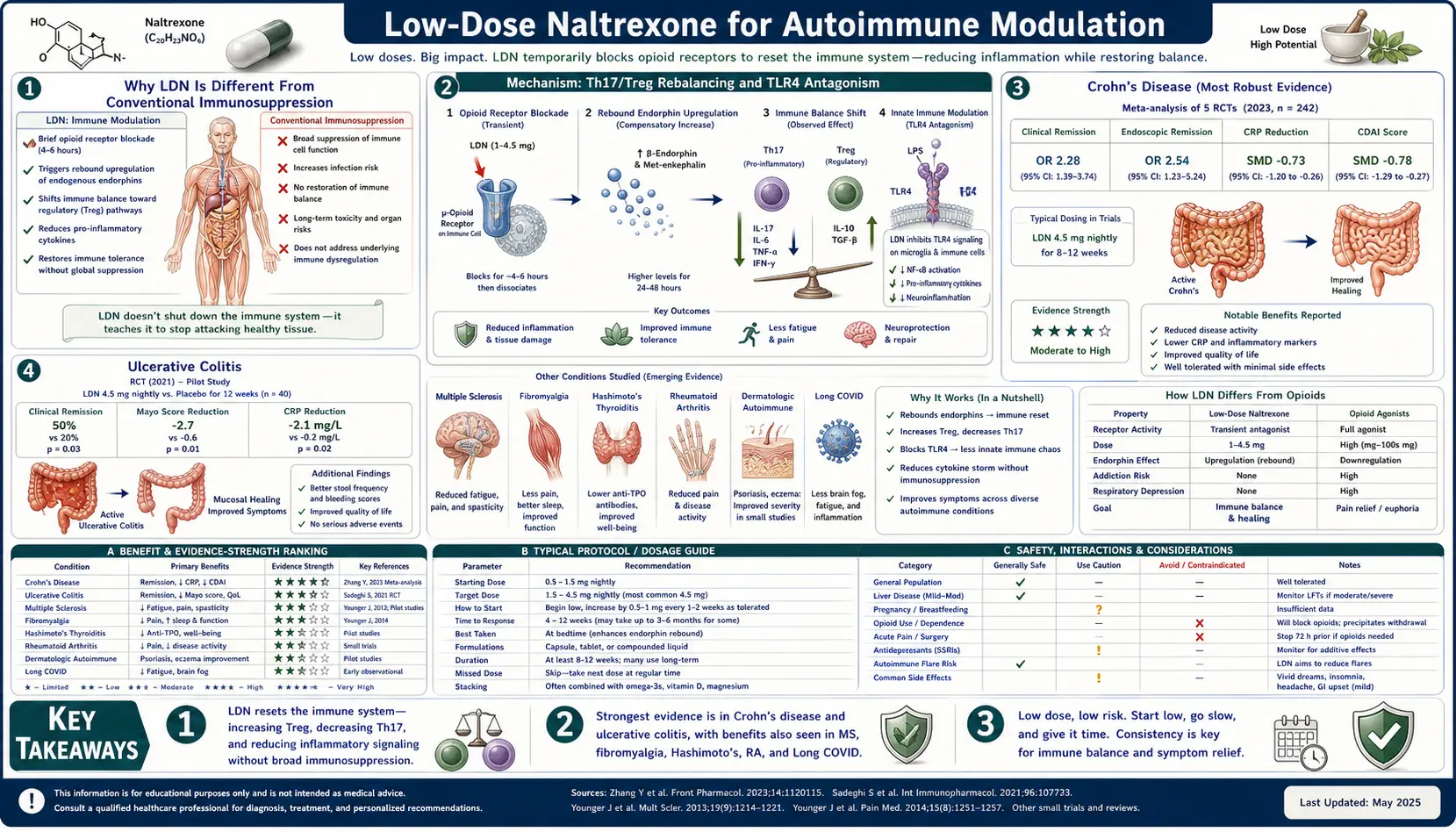 Autoimmune Modulation — scientific infographic poster