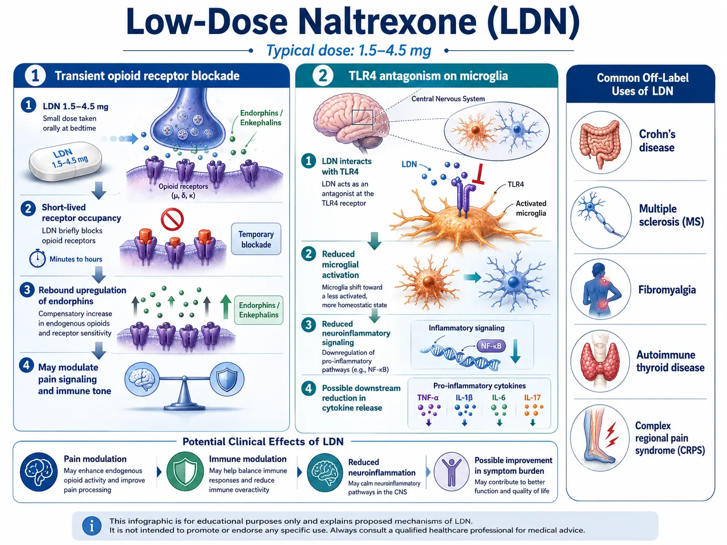 Low-dose naltrexone TLR4 microglia mechanism