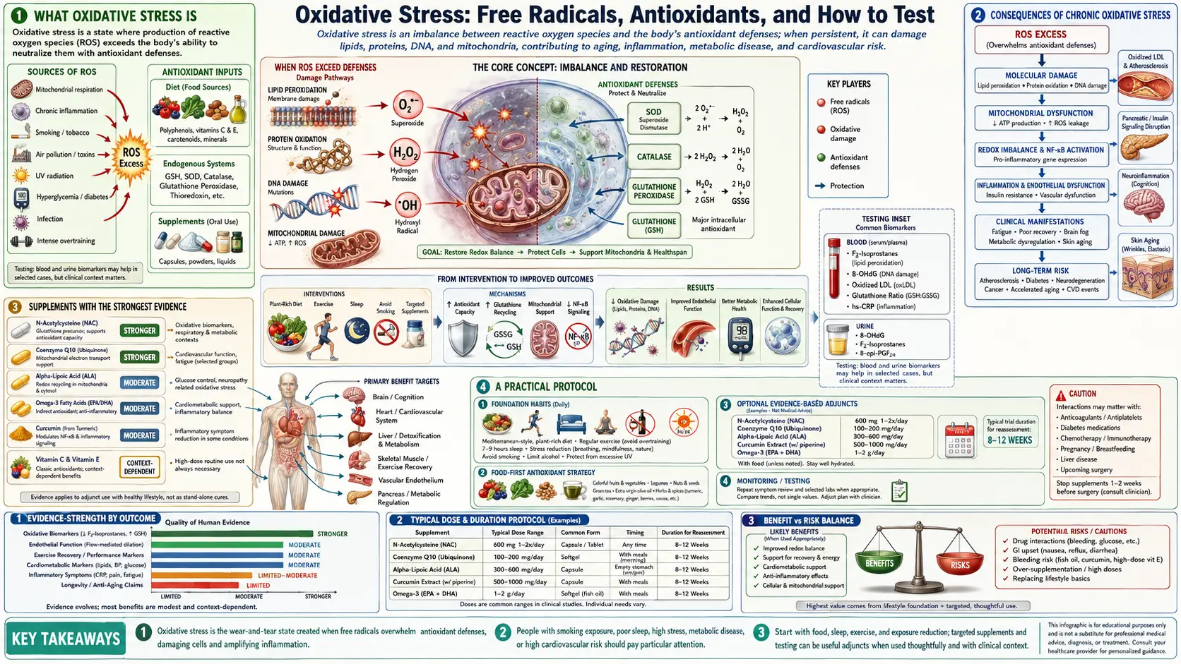 Oxidative Stress — scientific infographic poster