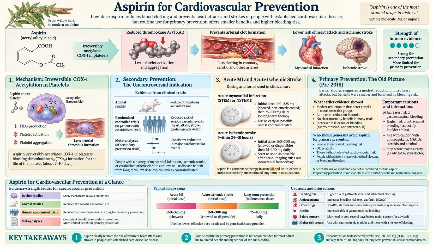 Cardiovascular Prevention — scientific infographic poster