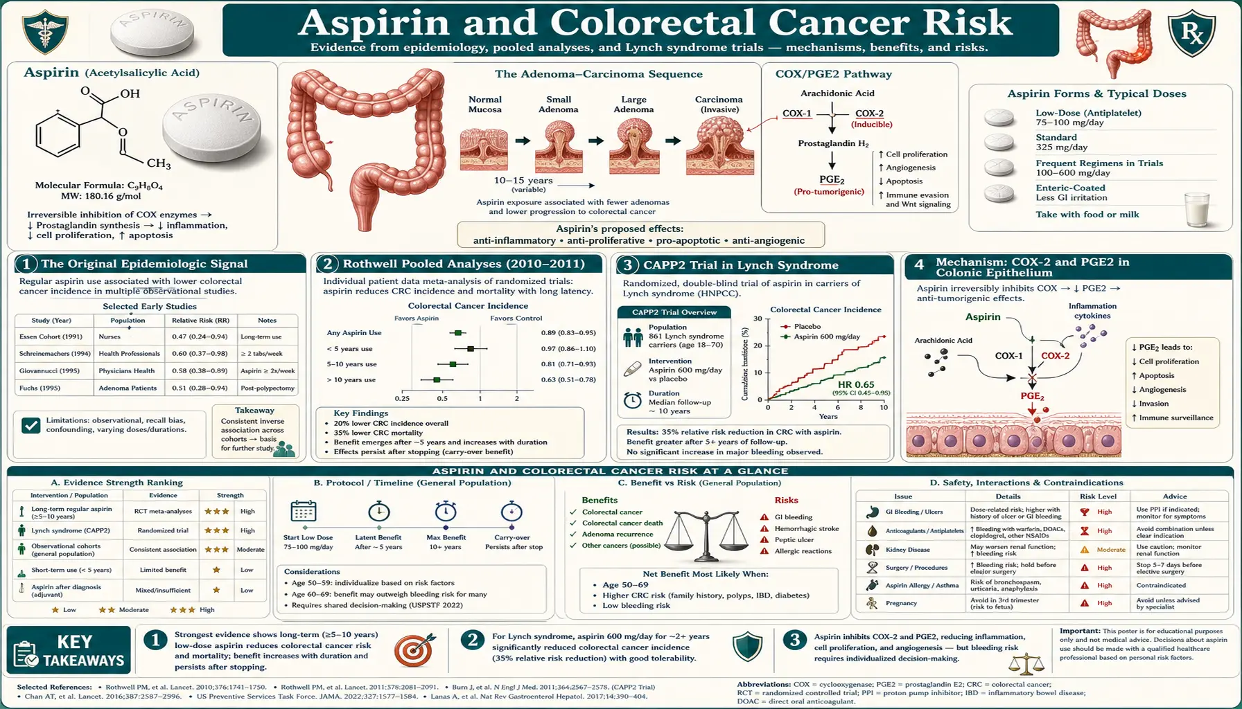 Colorectal Cancer Risk — scientific infographic poster