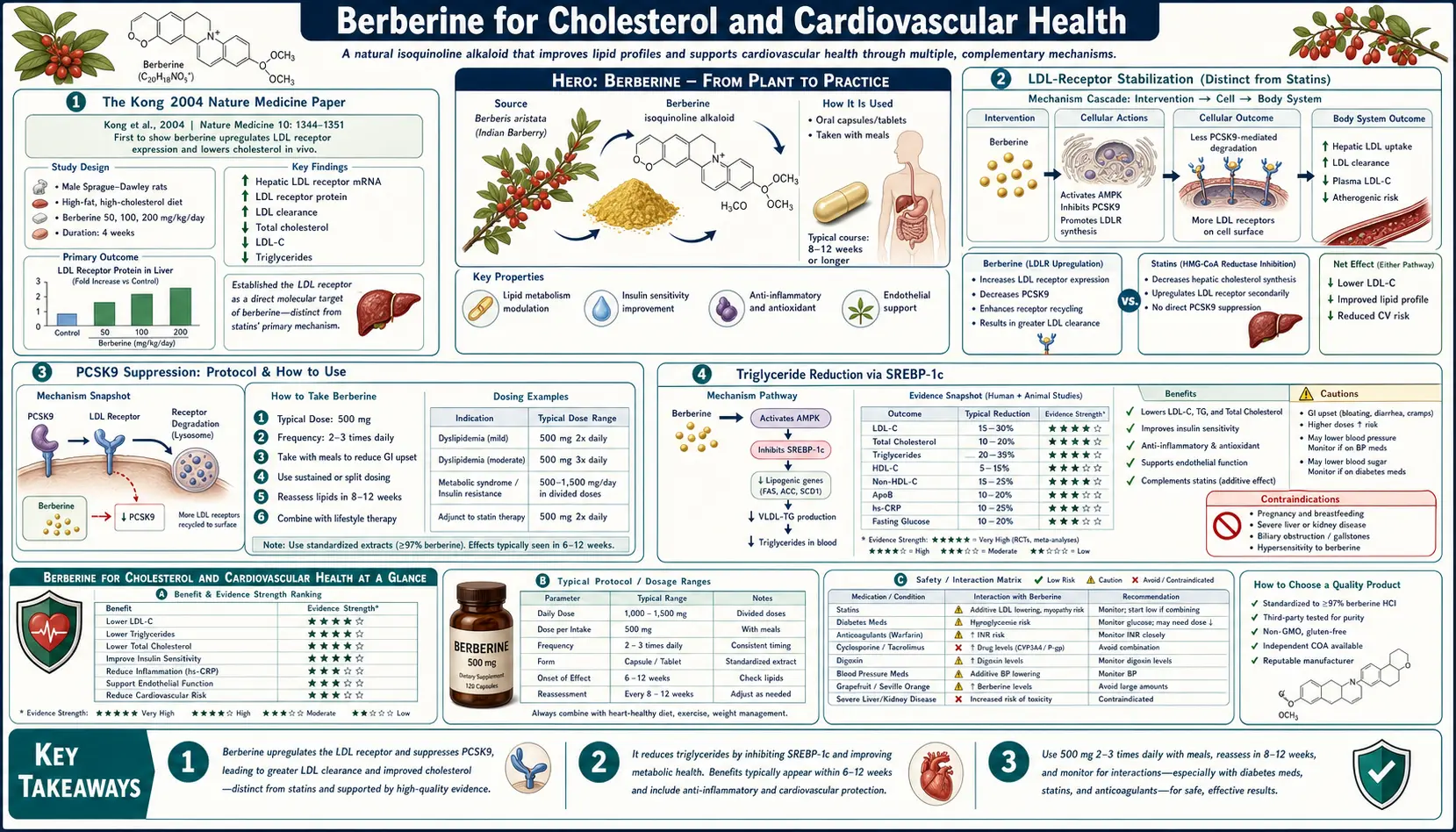 Cholesterol and Cardiovascular — scientific infographic poster