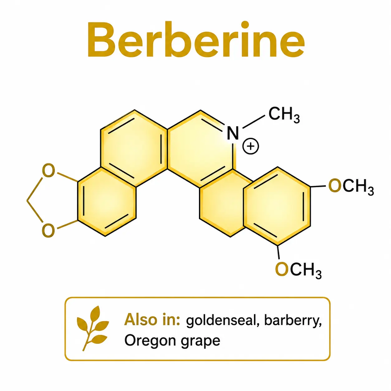 Berberine alkaloid molecular structure with isoquinoline core