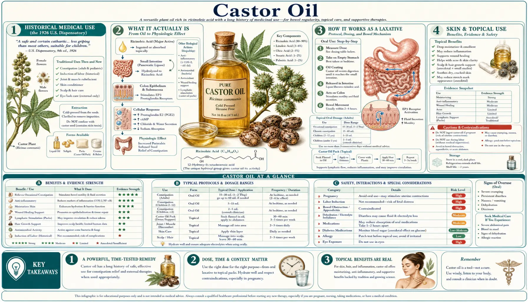 Castor Oil — scientific infographic poster