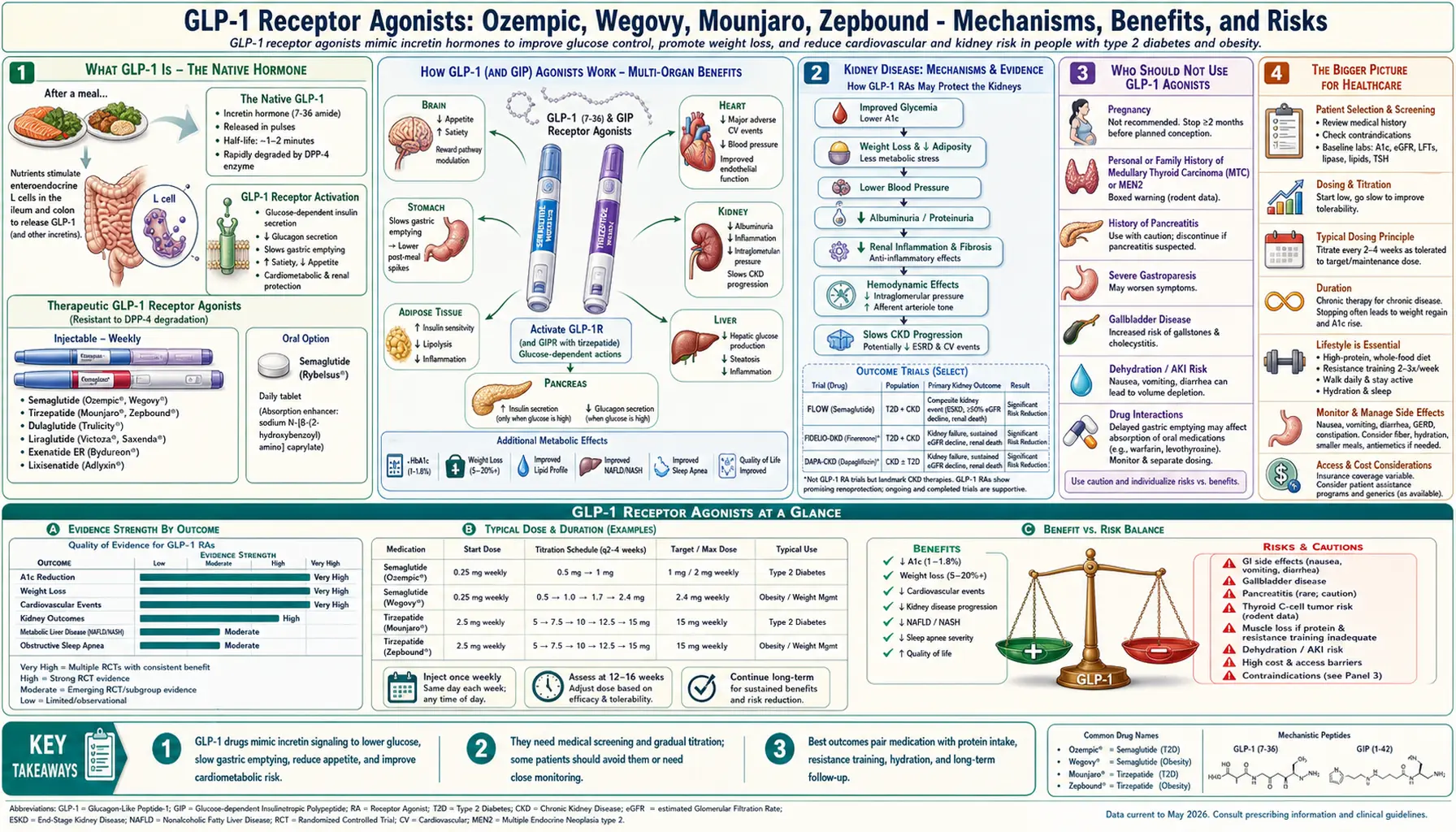 GLP1 Receptor Agonists — scientific infographic poster