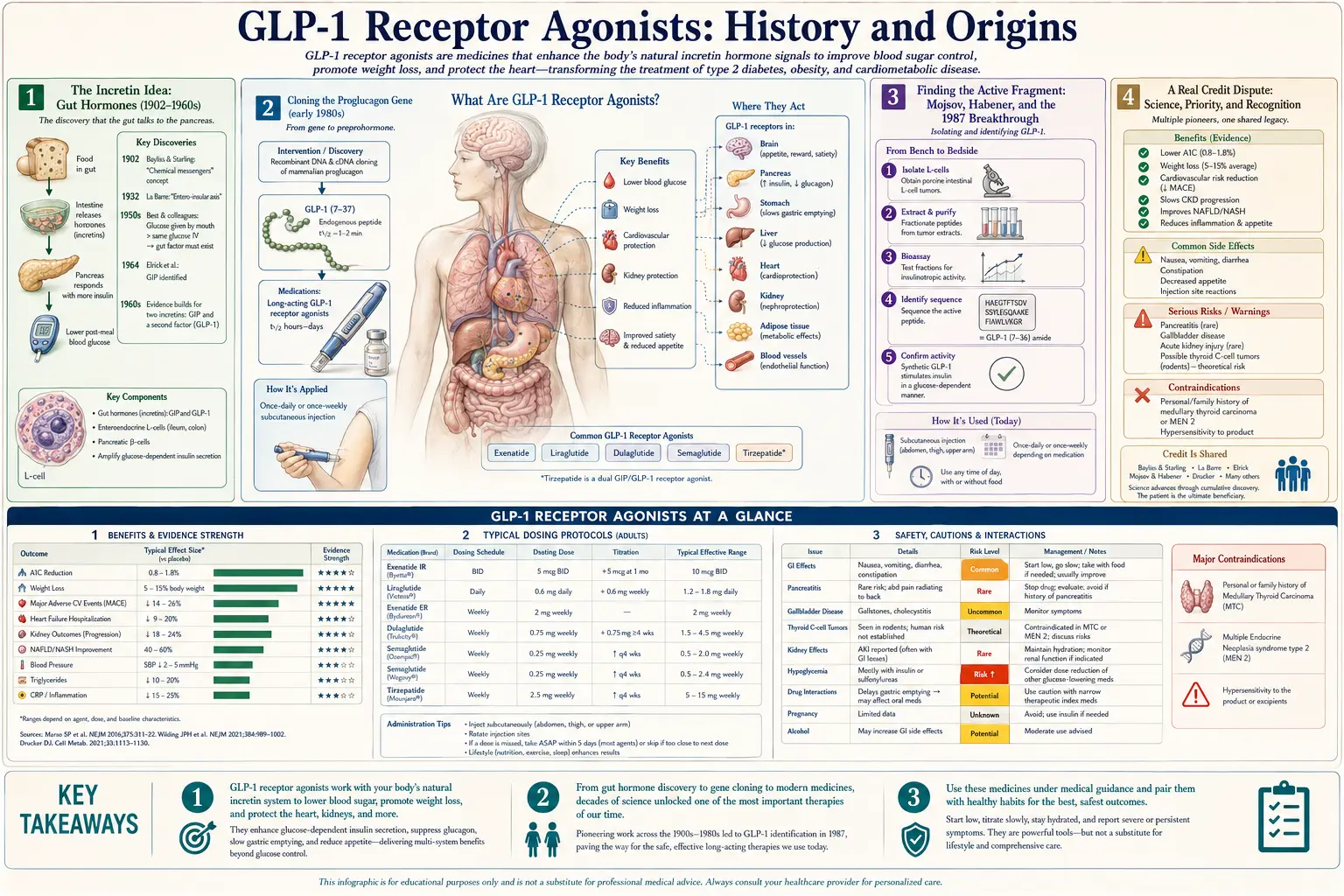 History — scientific infographic poster