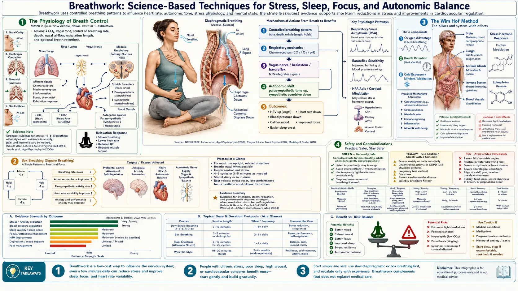 Breathwork — scientific infographic poster
