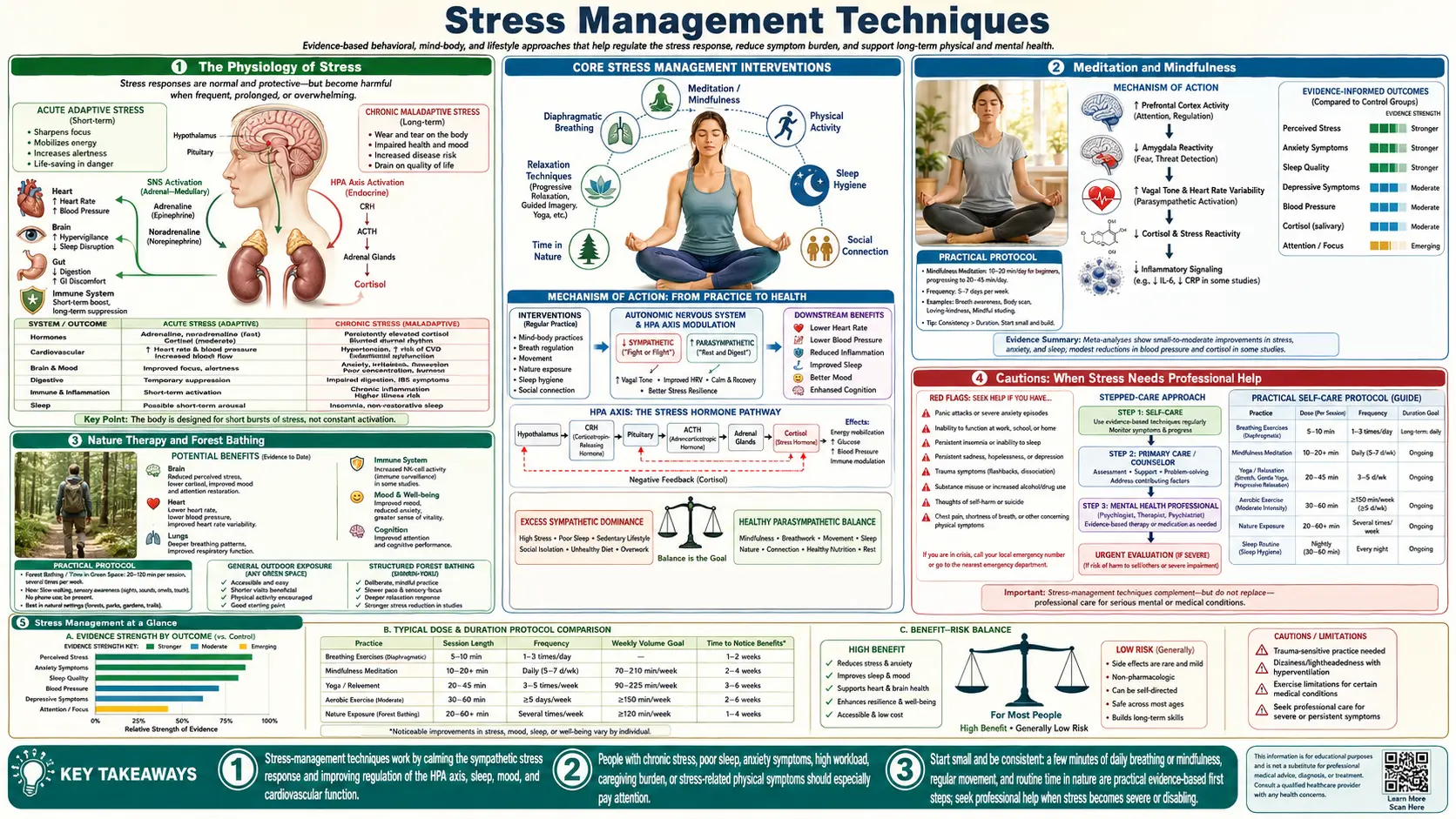 Stress Management — scientific infographic poster