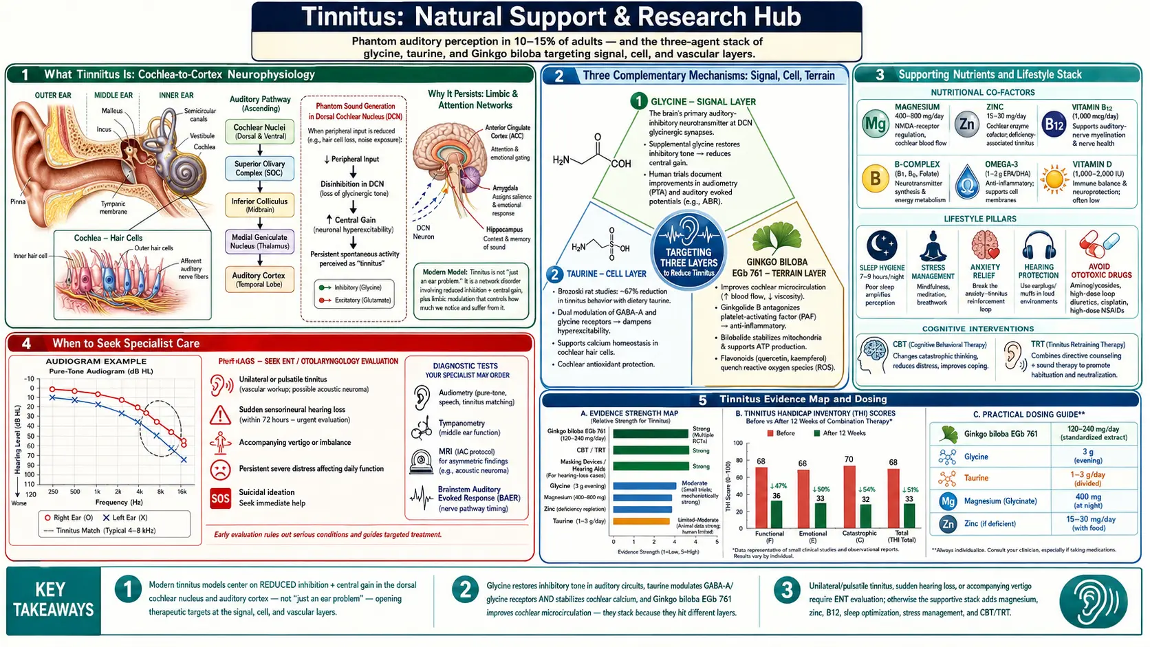 Tinnitus — scientific infographic poster