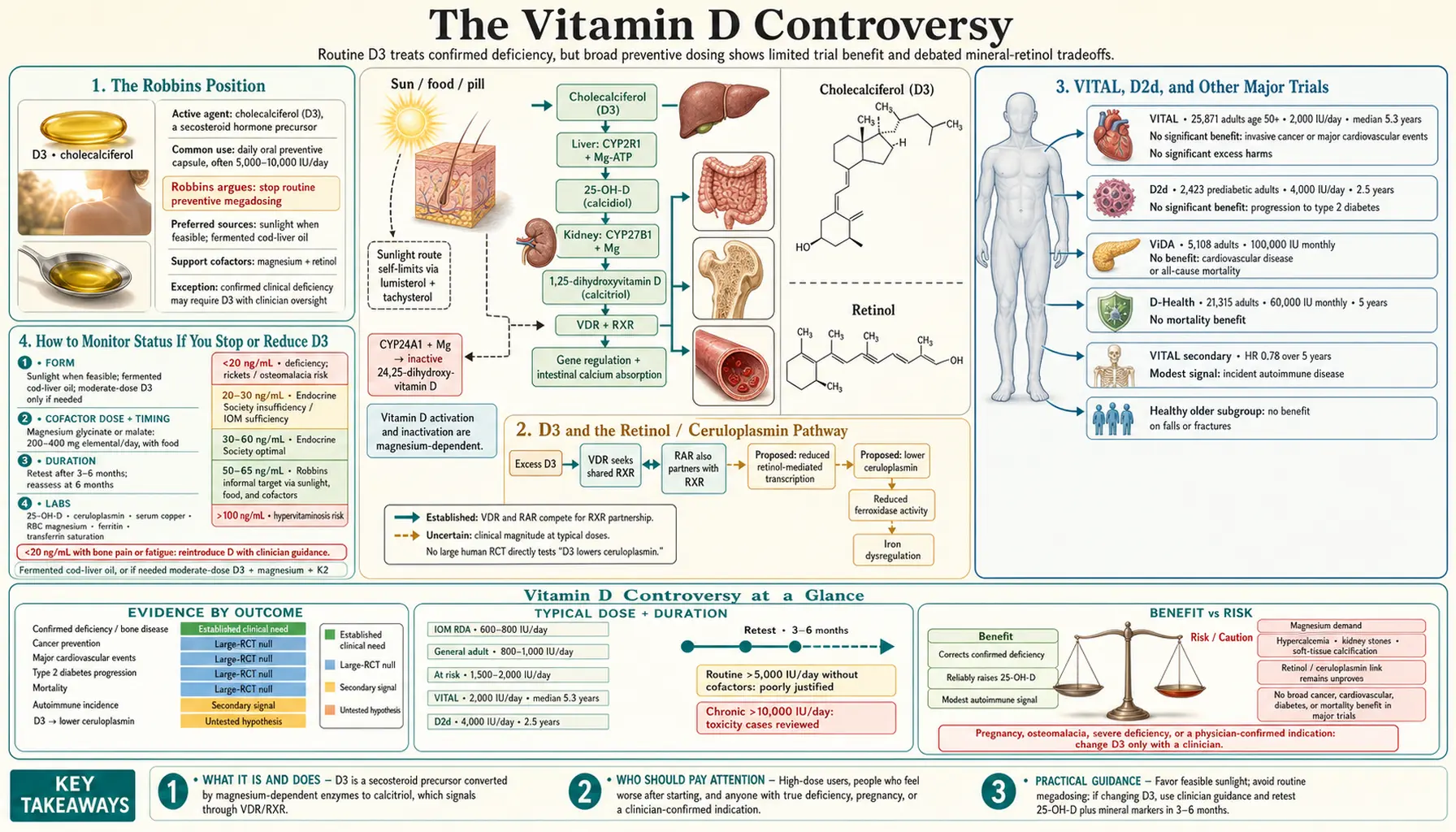 Vitamin D Controversy — scientific infographic poster