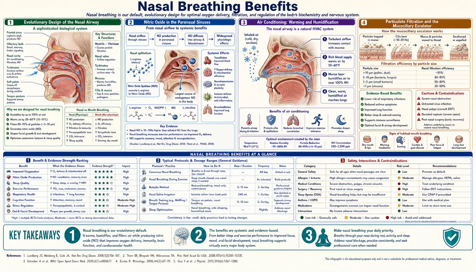 Nasal Breathing Benefits — scientific infographic poster