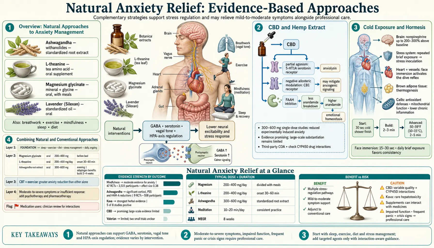 Natural Anxiety Relief — scientific infographic poster