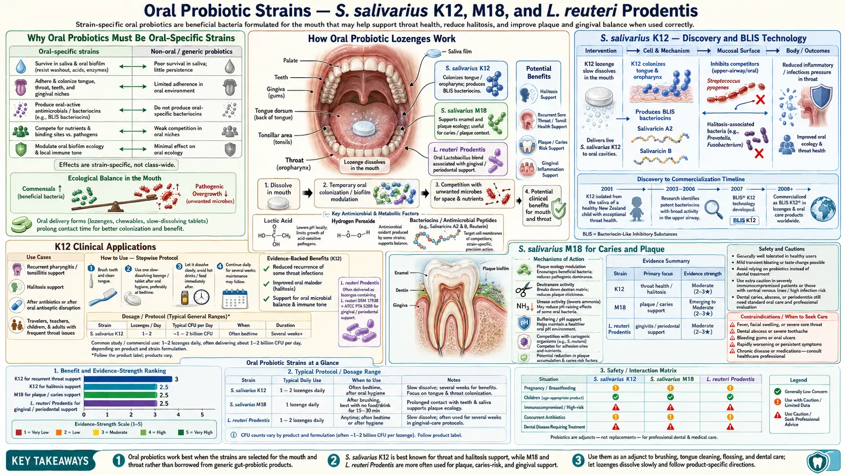 Oral Probiotic Strains — scientific infographic poster