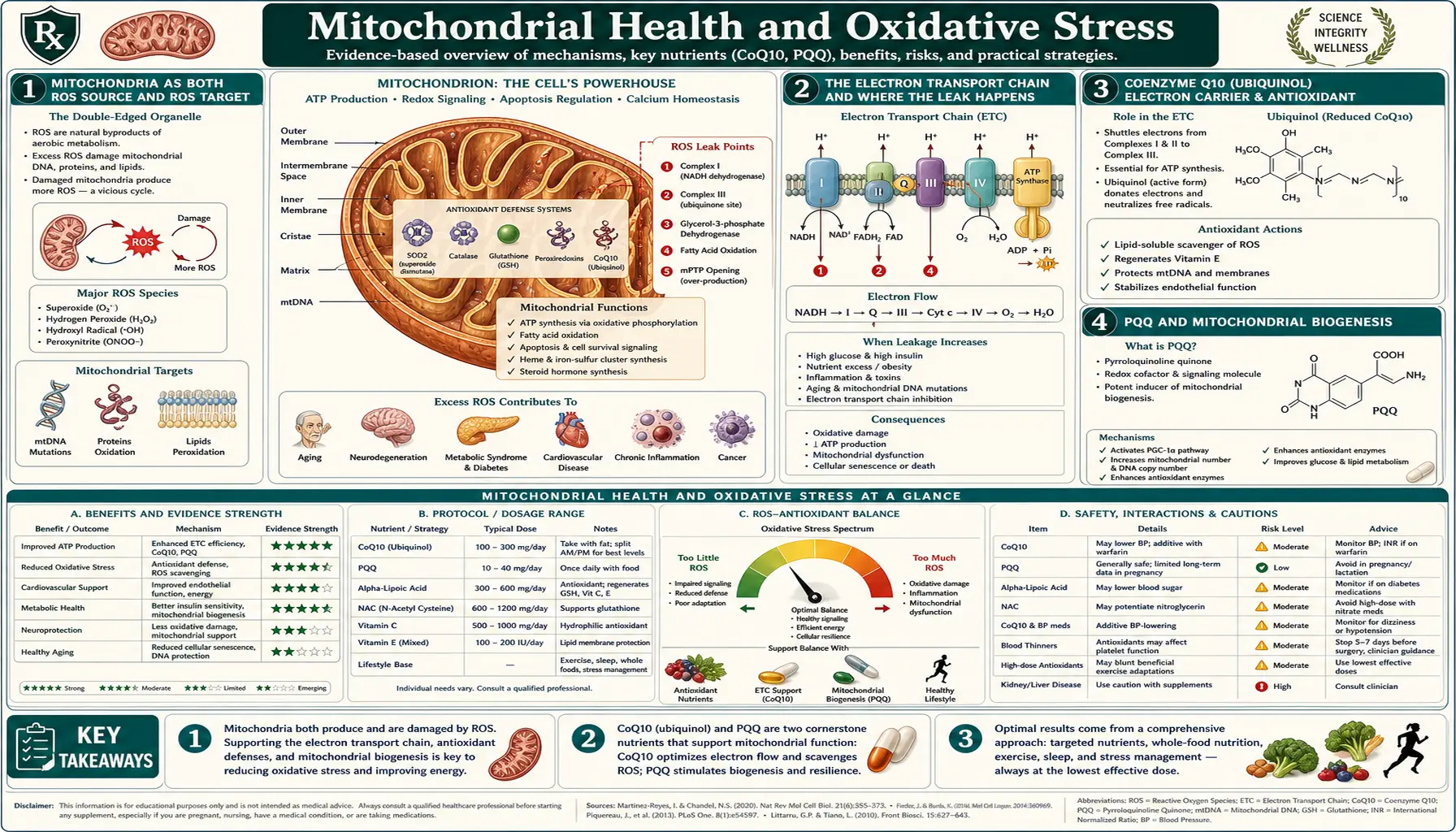 Mitochondrial Health — scientific infographic poster