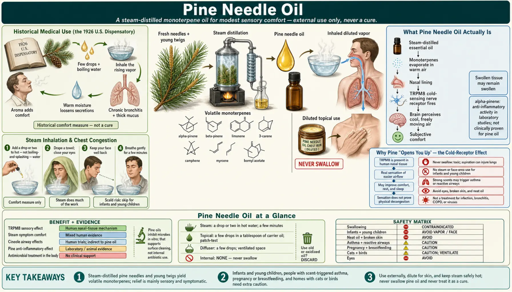 Pine Needle Oil — scientific infographic poster
