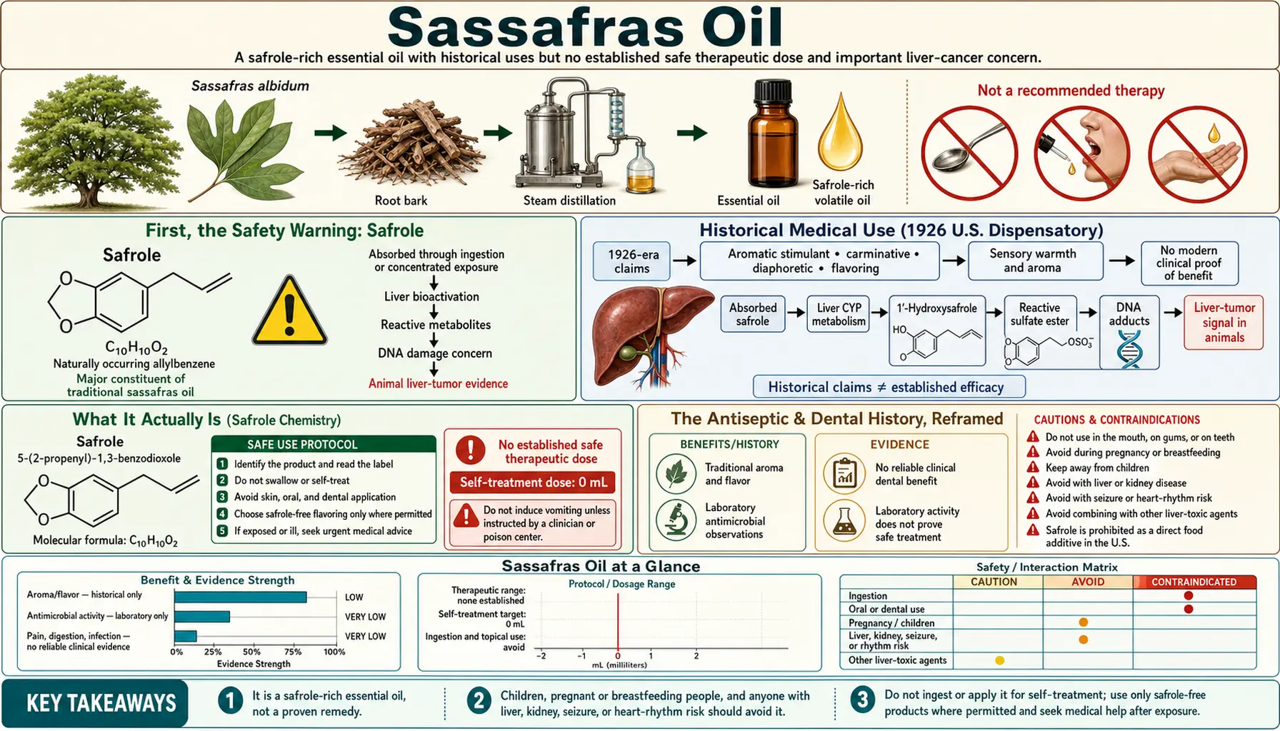 Sassafras Oil — scientific infographic poster