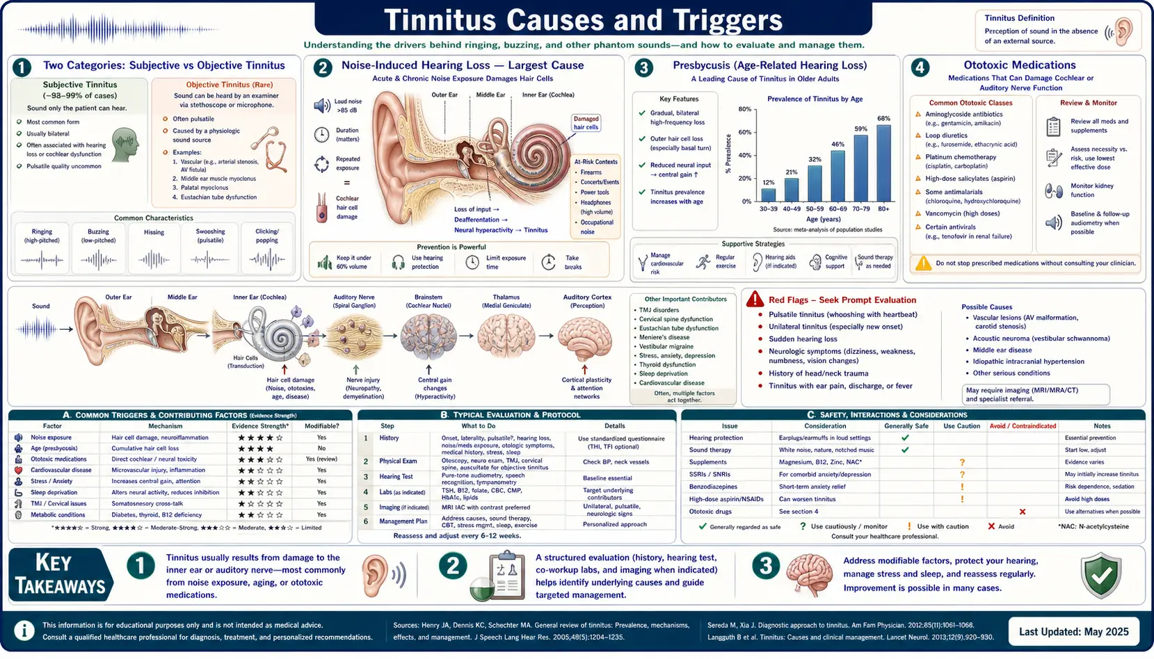 Causes and Triggers — scientific infographic poster