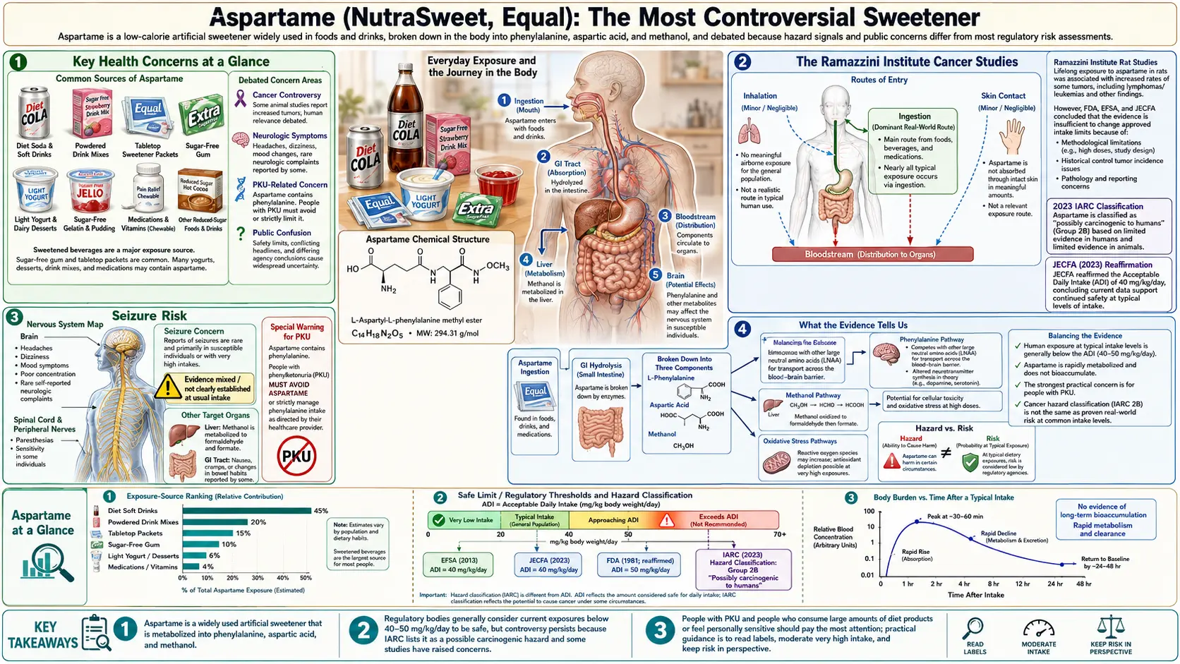 Aspartame — scientific infographic poster
