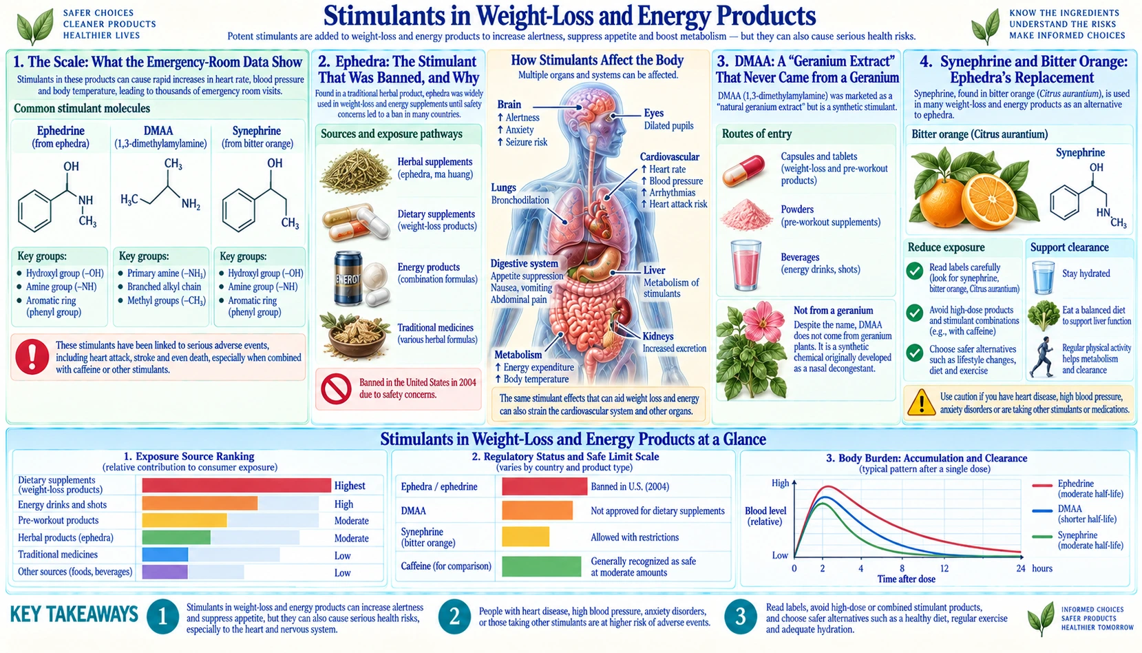 Stimulants in Weight Loss and Energy Products — scientific infographic poster