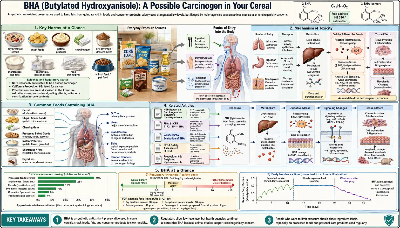 BHA — scientific infographic poster