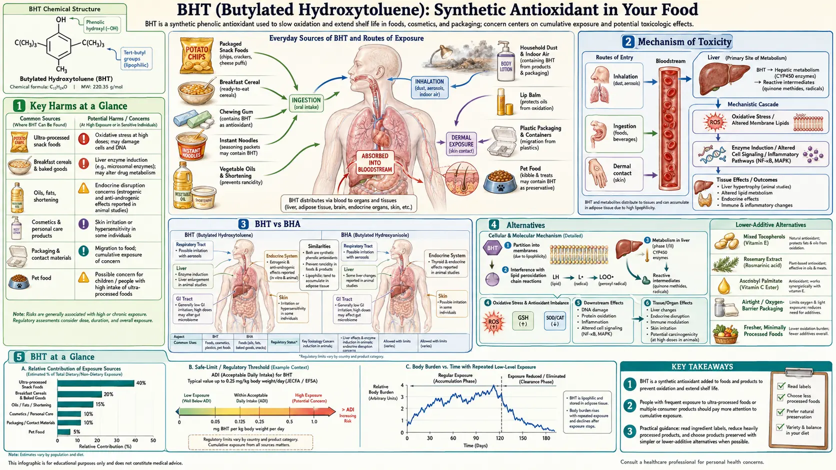 BHT — scientific infographic poster