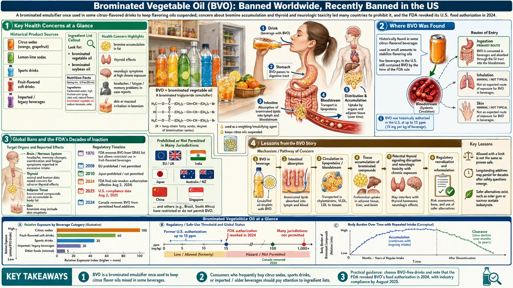 Brominated Vegetable Oil — scientific infographic poster