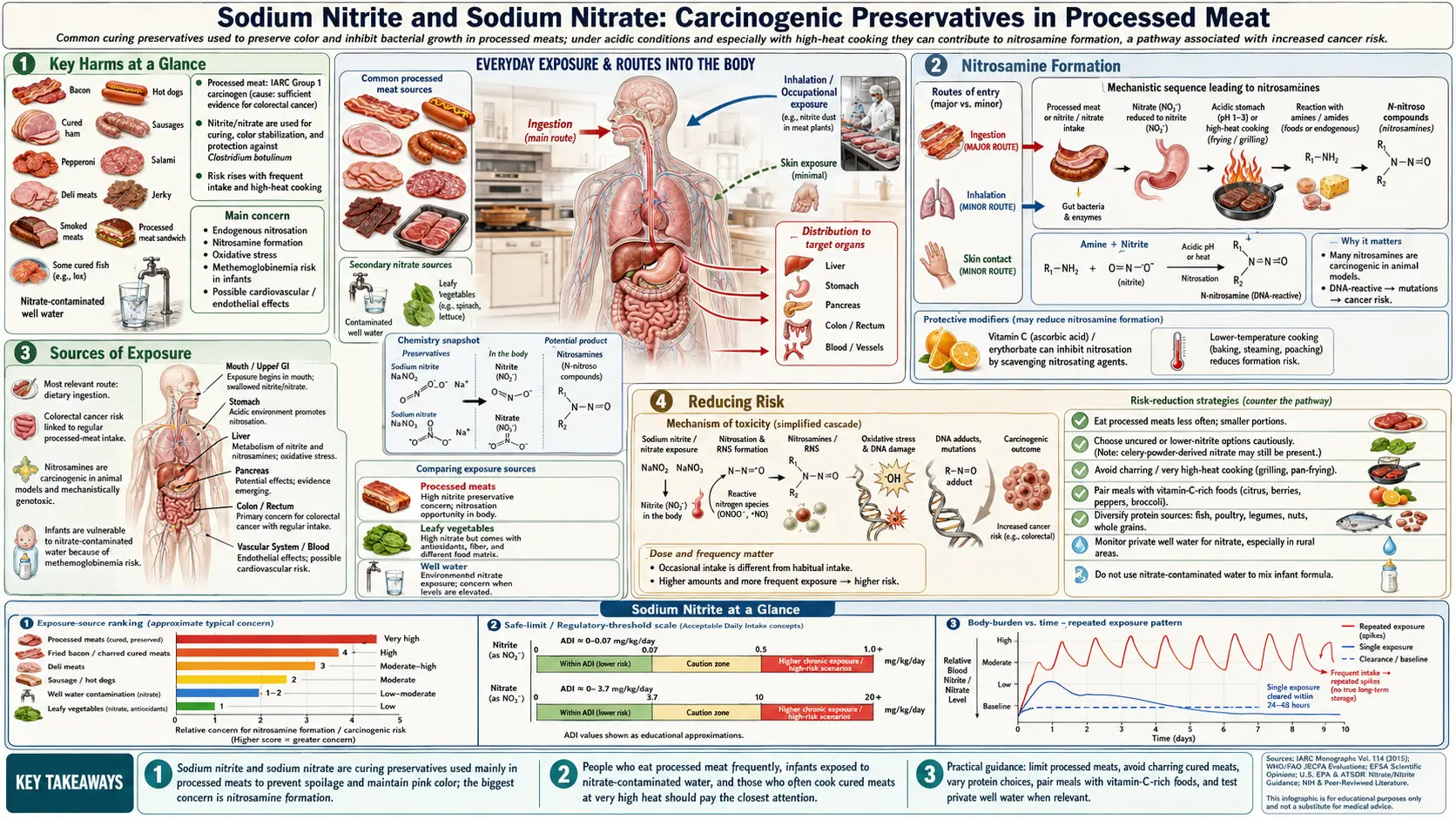 Sodium Nitrite — scientific infographic poster