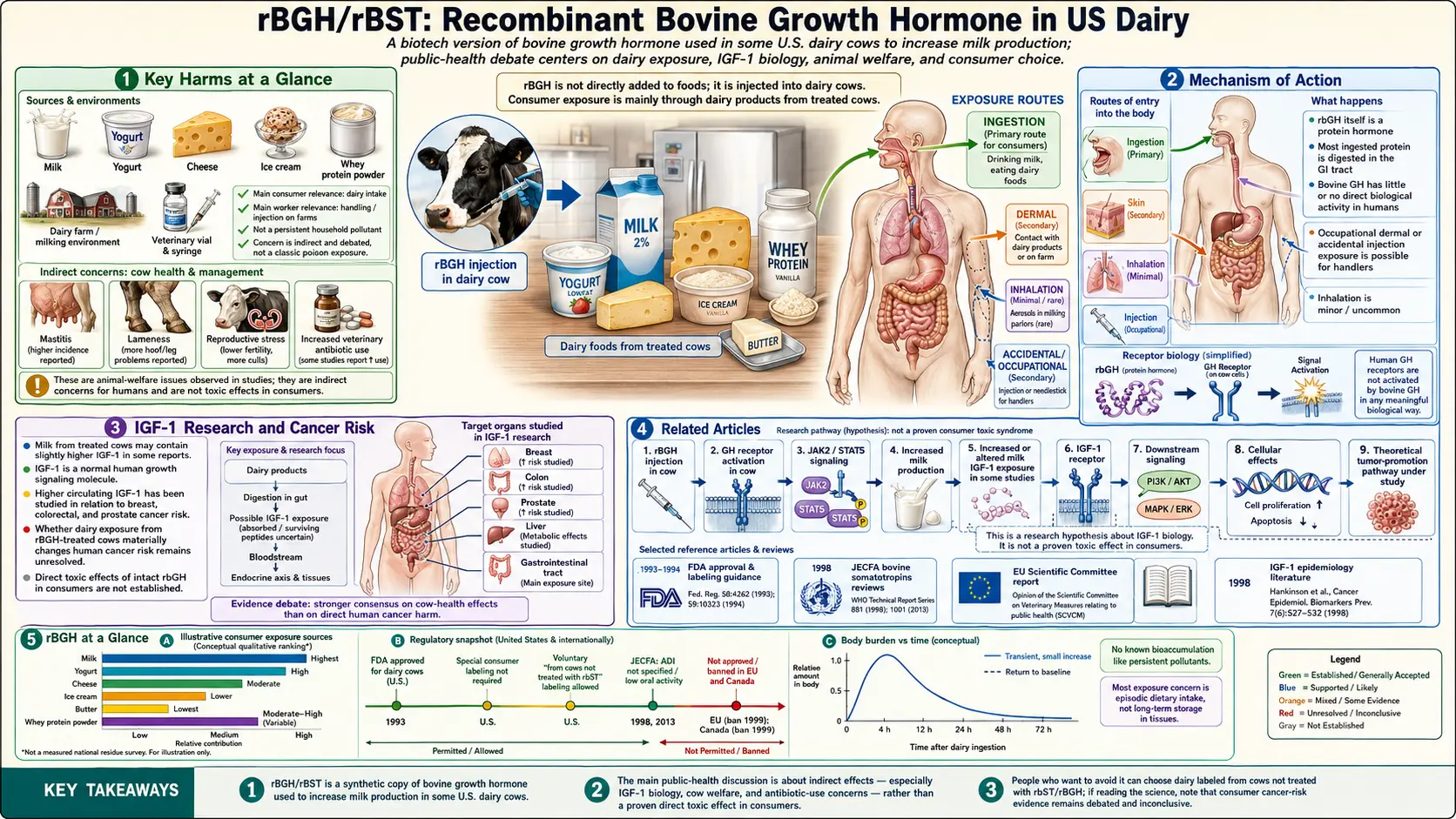 rBGH — scientific infographic poster
