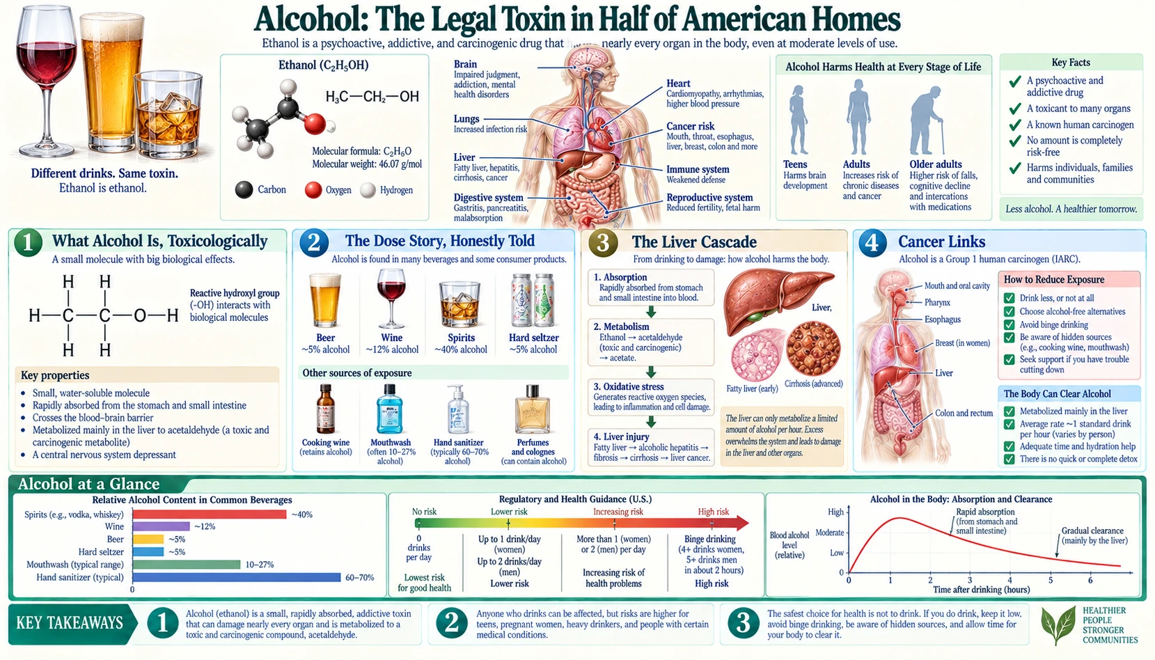 Alcohol — scientific infographic poster