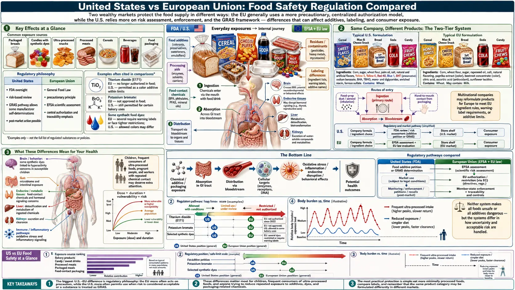 US vs EU Food Safety — scientific infographic poster
