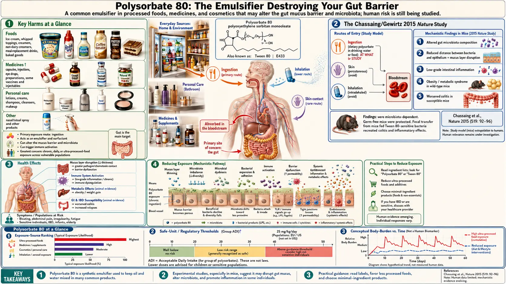 Polysorbate 80 — scientific infographic poster