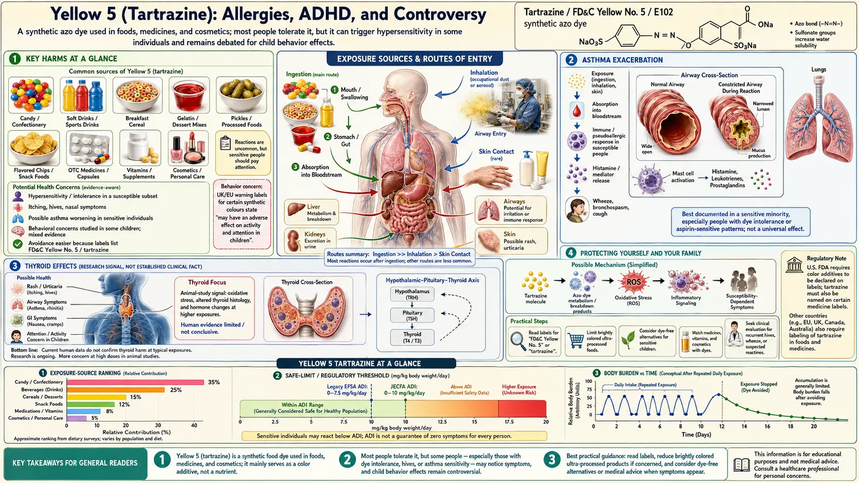Yellow 5 Tartrazine — scientific infographic poster