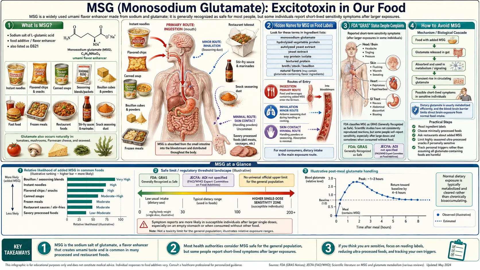 MSG — scientific infographic poster