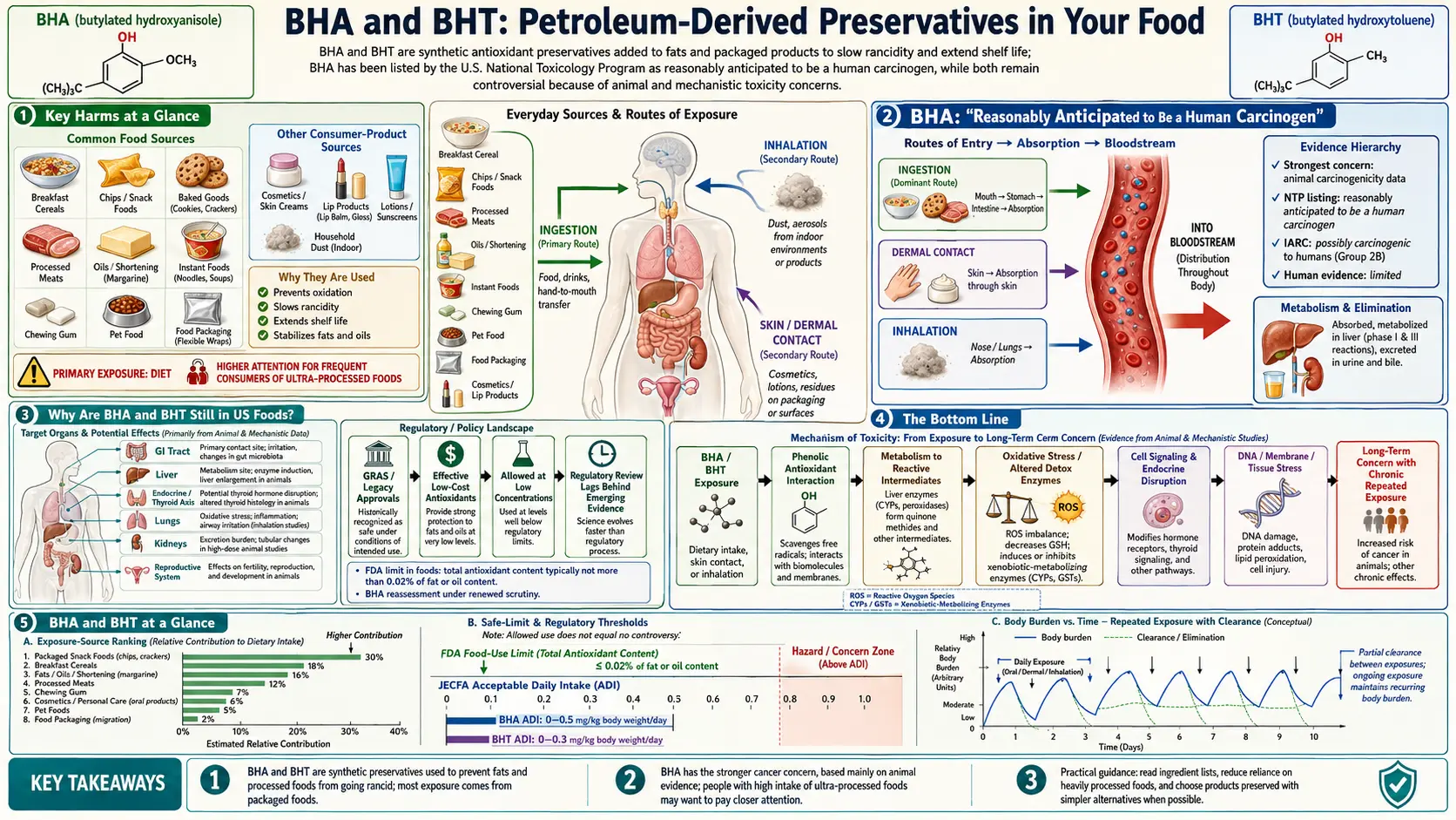 BHA and BHT — scientific infographic poster