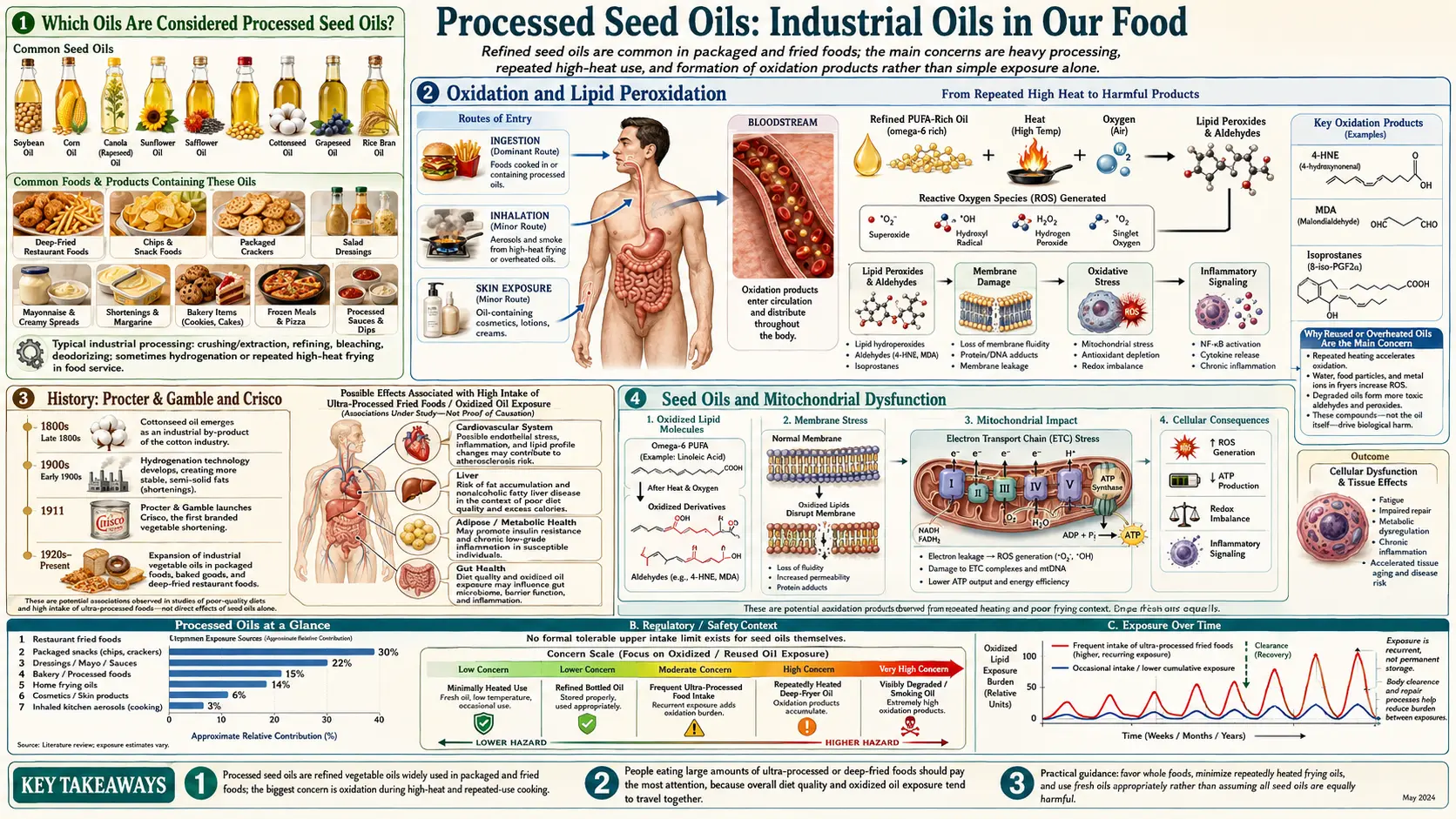 Processed Oils — scientific infographic poster