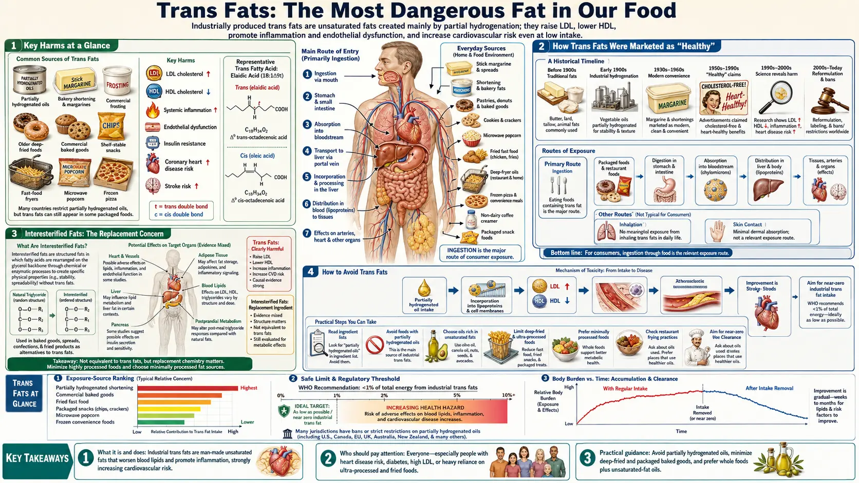 Trans Fats — scientific infographic poster
