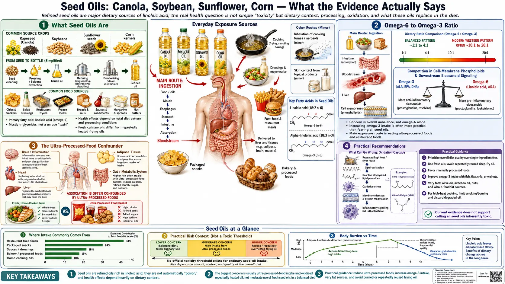 Seed Oils — scientific infographic poster