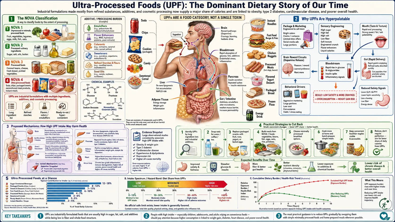 Ultra Processed Foods — scientific infographic poster