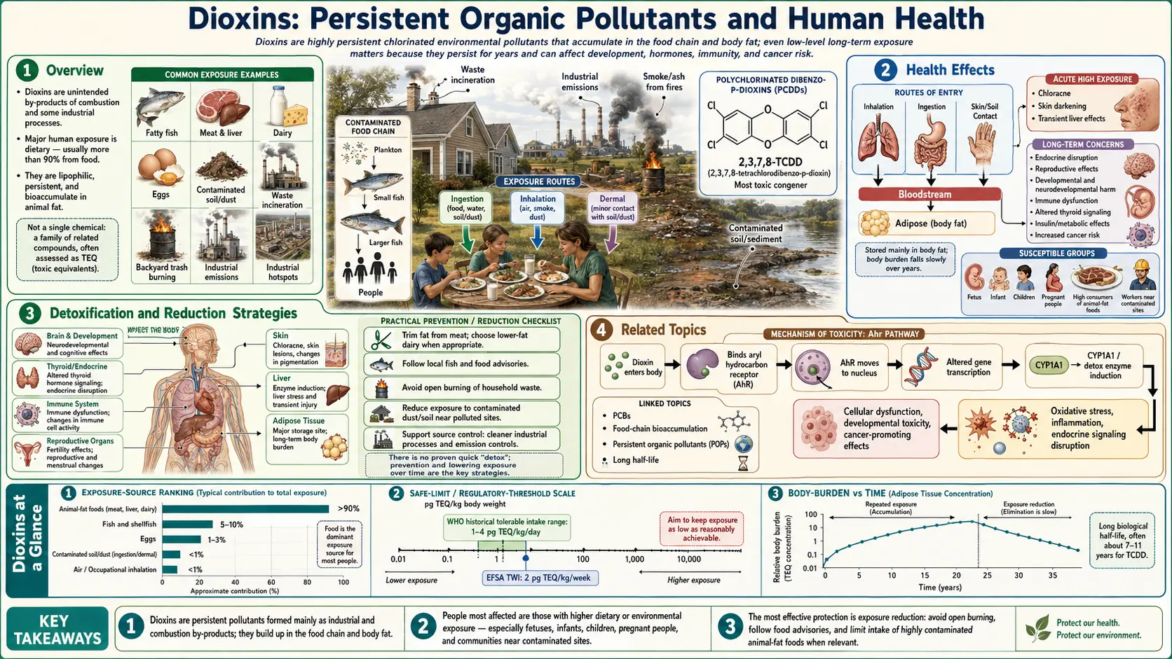 Dioxins — scientific infographic poster