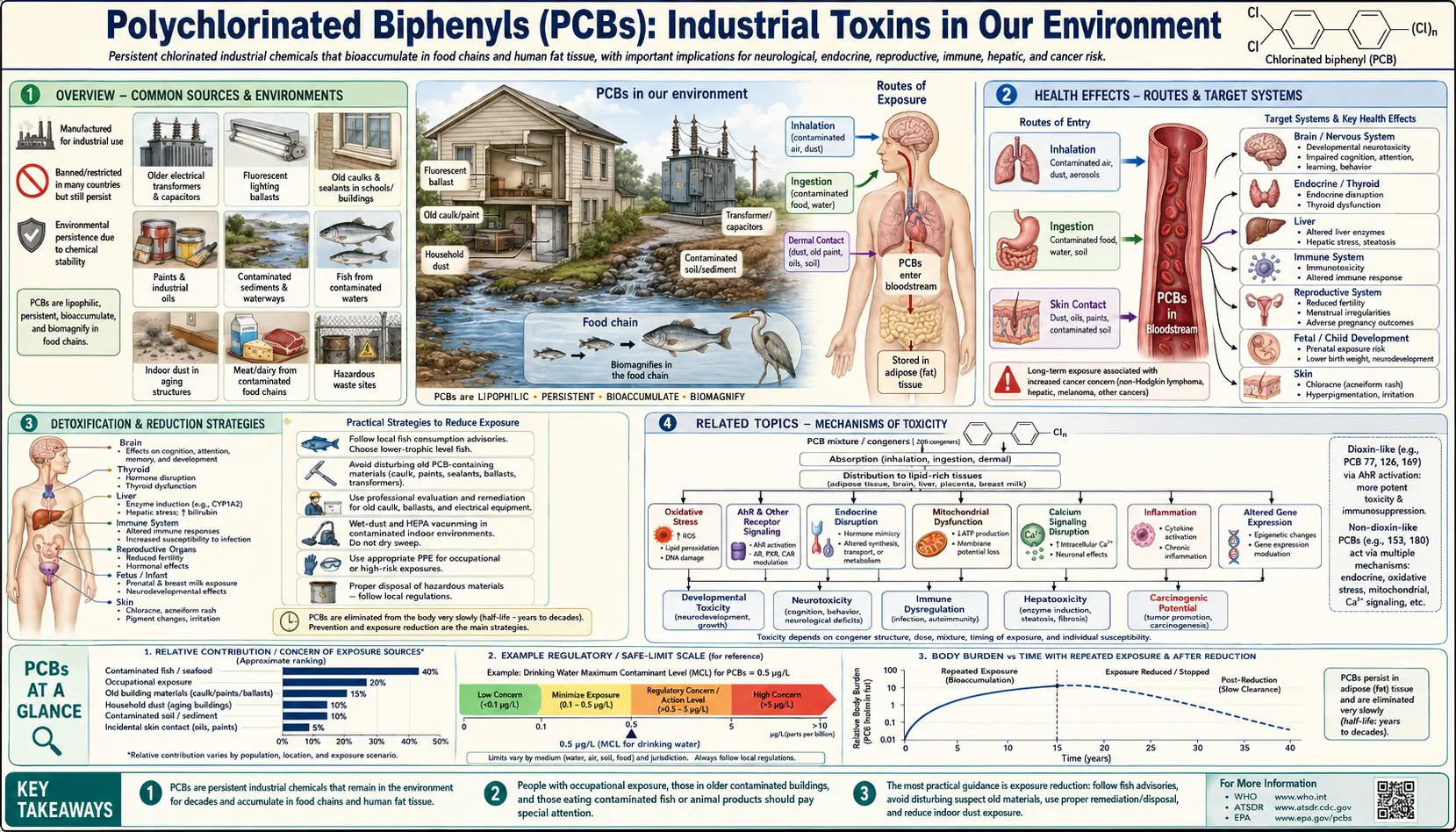 PCBs — scientific infographic poster
