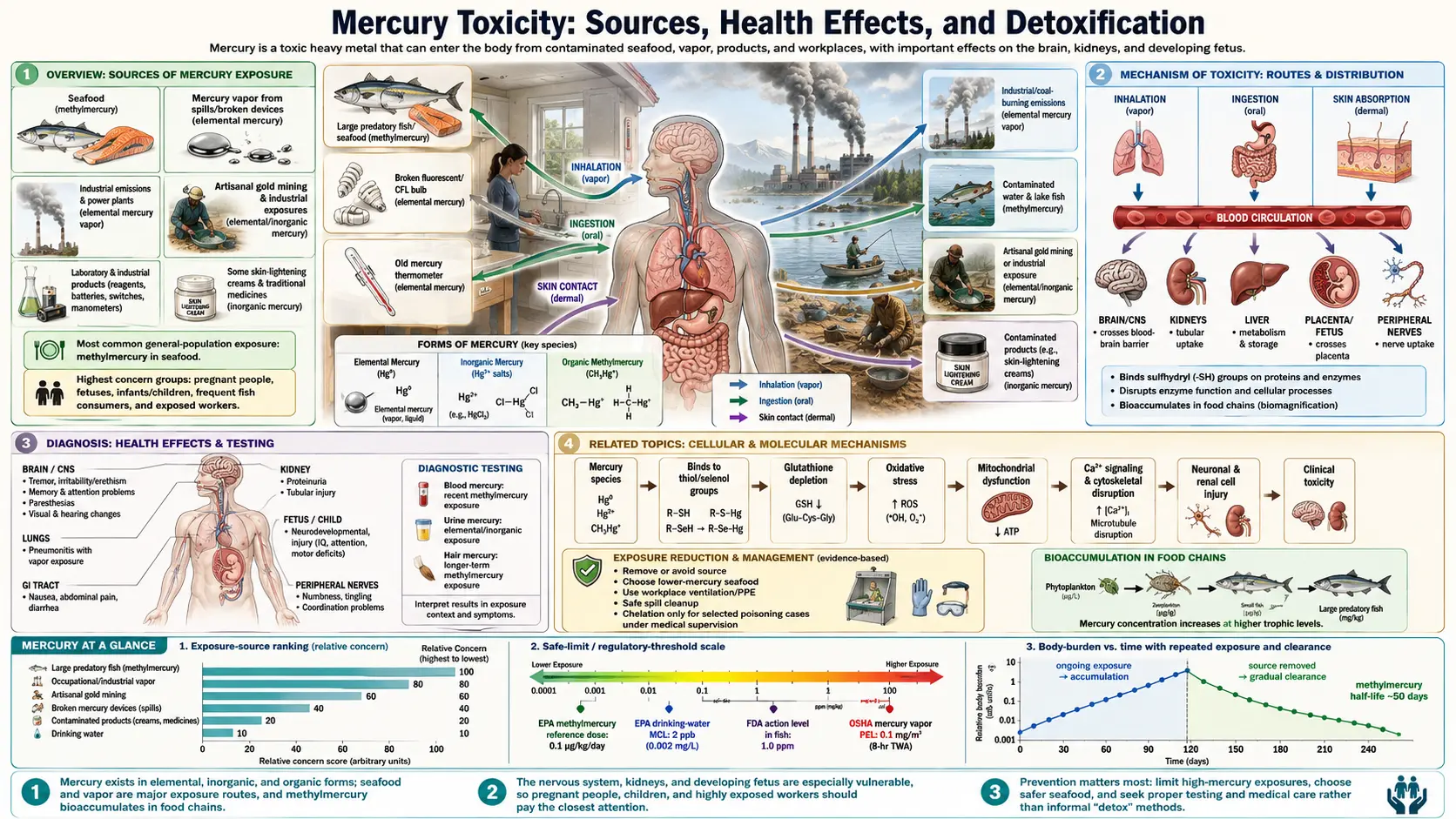 Mercury — scientific infographic poster