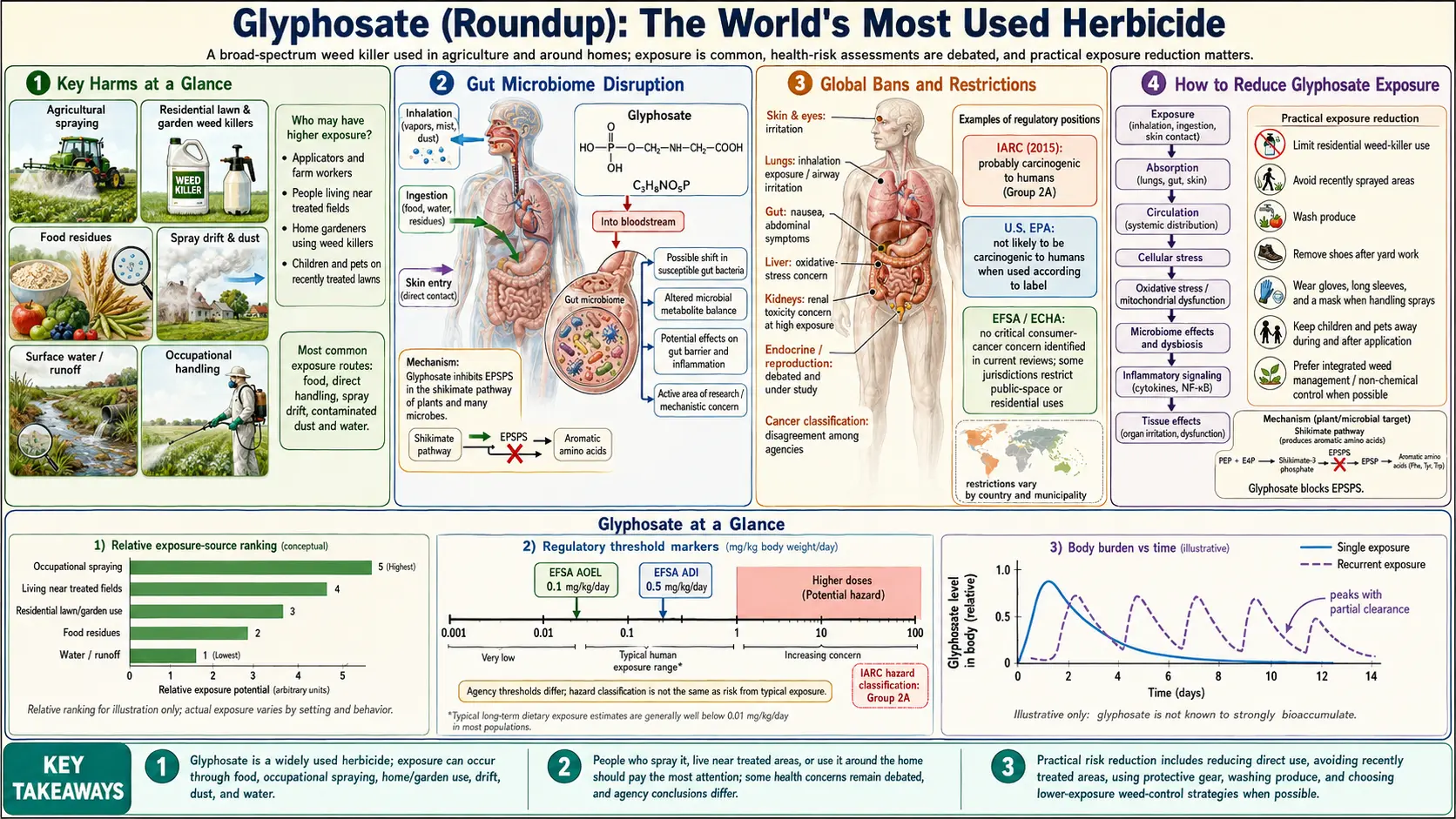 Glyphosate — scientific infographic poster