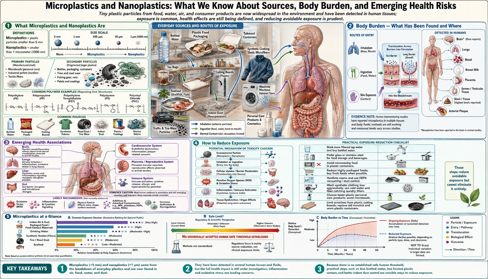 Microplastics — scientific infographic poster
