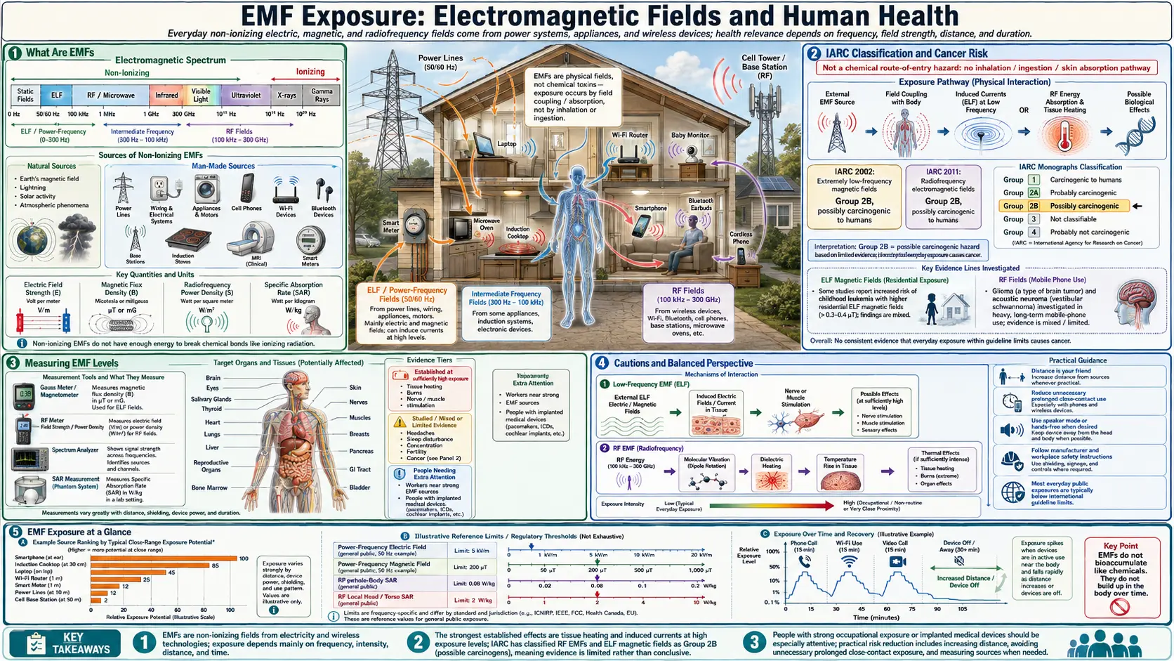 EMF Exposure — scientific infographic poster